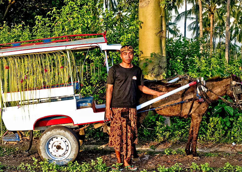 Horse Drawn Bendi Ride