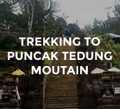 Activities Trekking to Puncak Tedung Mountain at Hotel Tugu Bali